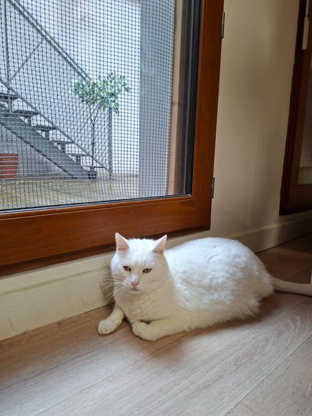 Repos à coté de la fenêtre