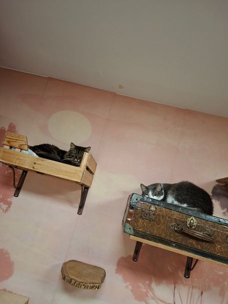 Sieste ensemble